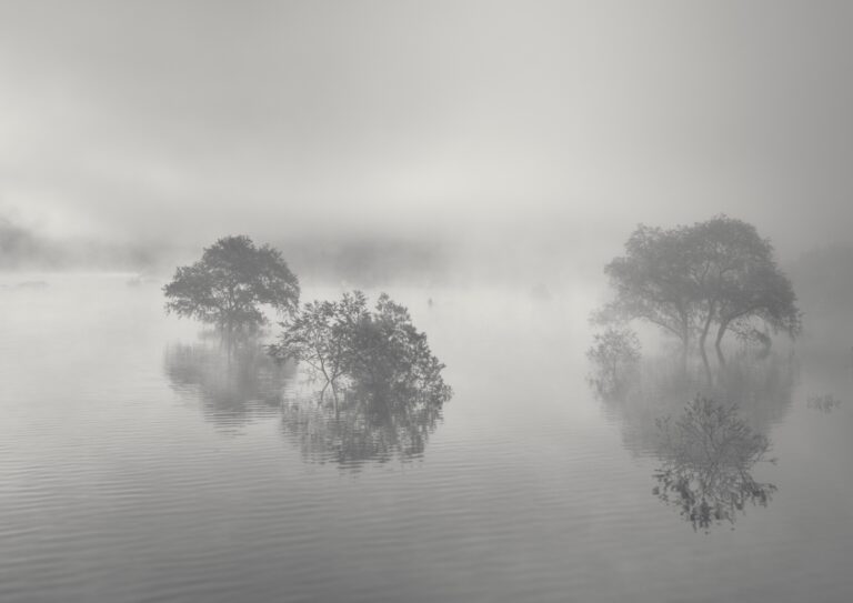 白川湖