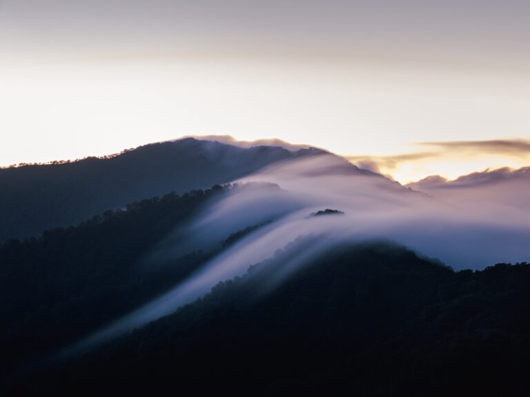 枝折峠