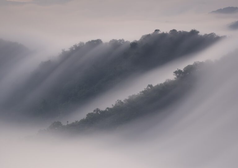 枝折峠