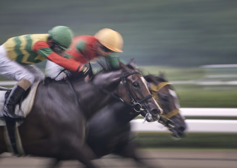 新潟競馬場