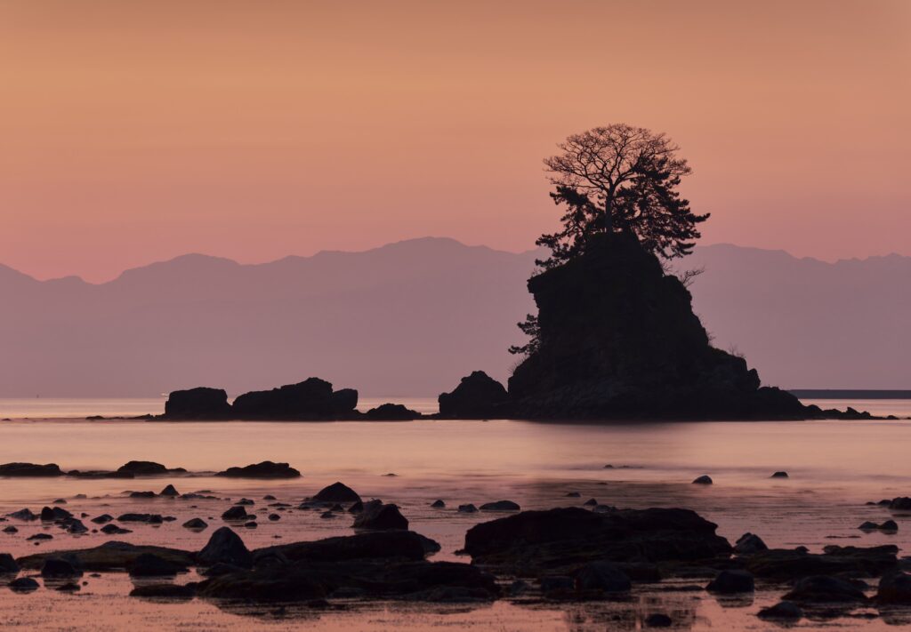 雨晴海岸