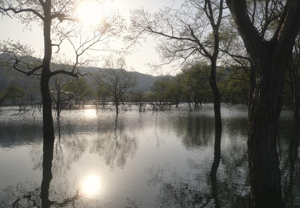 白川湖